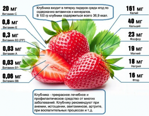 Что содержится в клубнике? Необычные свойства клубники