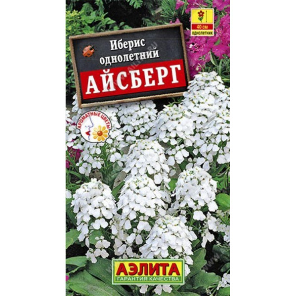 Иберис Айсберг Аэлита