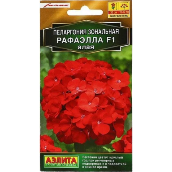 Пеларгония F2 Кабаре Гавриш