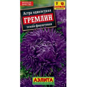 Астра Гремлин темно-фиолетовая Аэлита